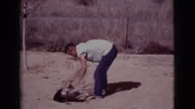 Cottonwood Arizona (1968): Man Plays With Small Dog On Typical Summer Sunny Day