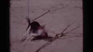 Cottonwood Arizona (1968): Man Playing With His Energetic Large Breed Pet Dog