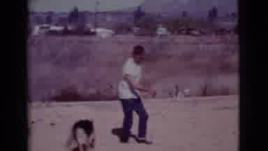 Cottonwood Arizona (1968): A Dog Playing With Their Owner Under The Legs