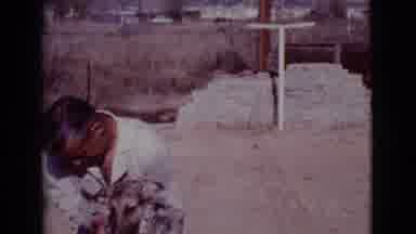 Cottonwood Arizona (1968): Man Wearing White Shirt Washes German Shepherd Dog On A