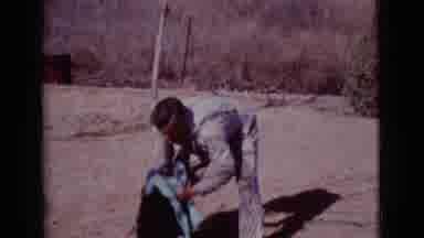 Cottonwood Arizona (1968): Man Drying A German Shepherd Dog With A Towel In The