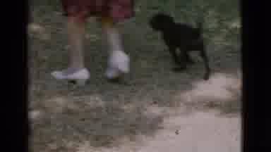 Cottonwood Arizona (1968): Old Woman On A Dress With A Black Dog