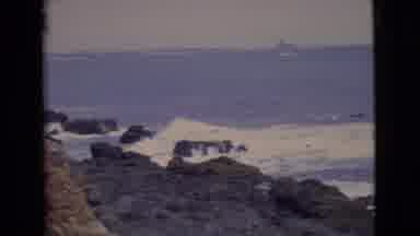 San Diego County California (1968): Waves Crashing Along The Shore And A Bird