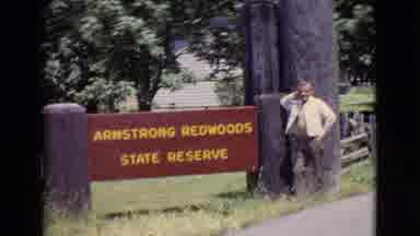San Diego County California (1968): Armstrong Redwoods Reserve Park With A Guy