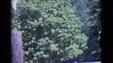 San Diego County California (1968): A Man Standing Outside The Redwoods Reserve At
