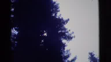 San Diego County California (1968): The Tall Tree In The Sky And A Car Pulling Up