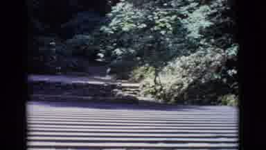 San Diego County California (1968): An Outside Scene With Lots Of Lush Green Tries