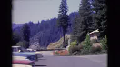 San Diego County California (1968): Footage Of Cars Trees And Woodland Filmed From