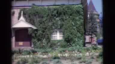 San Diego County California (1968): Building Covered In Vines