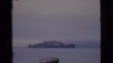 San Diego County California (1968): View Of Red,Yellow And Purple Flowers And