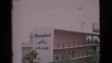 San Diego County California (1968): Penguins Swimming In A Pool
