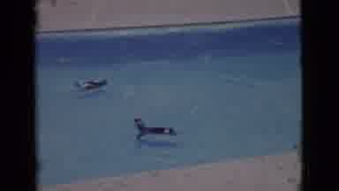 San Diego County California (1968): Penguins Swim In A Pool At The Zoo Near A