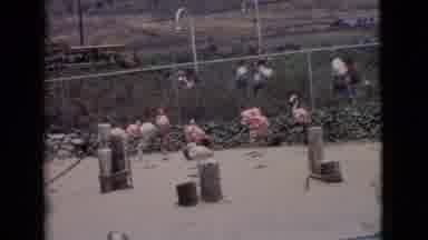 San Diego County California (1968): People Watching Pink Flamingos And Penguins