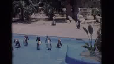 San Diego County California (1968): Recording Of Penguins Then Switching To The