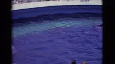 San Diego County California (1968): Whales Killer Captive Hot Summer Crowd Blue