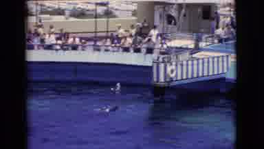 San Diego County California (1968): People Are Walking By The Shoreline And Having
