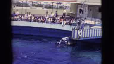 San Diego County California (1968): A Man Leans Into The Water To Feed A Seal Off