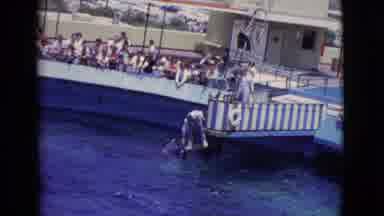 San Diego County California (1968): A Water Play Area For Whales And A Family