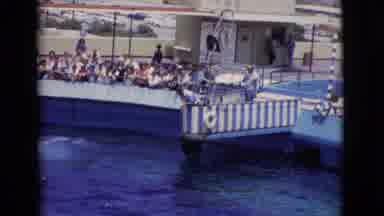 San Diego County California (1968): Feeding A Beluga Whale