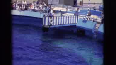 San Diego County California (1968): Footage Of A Whale Jumping Out Of The Water At