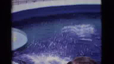 San Diego County California (1968): People Watching A Dolphin Show Around The Tank