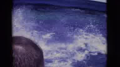 San Diego County California (1968): Dolphins Play In Large Aquarium Pool While