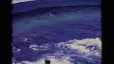 San Diego County California (1968): Man Feeding Dolphins That Are In A Bathtub