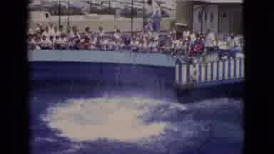 San Diego County California (1968): Whale Jumps Out Of Water For Audience On A