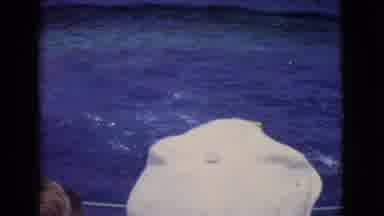 San Diego County California (1968): Dolphin Show