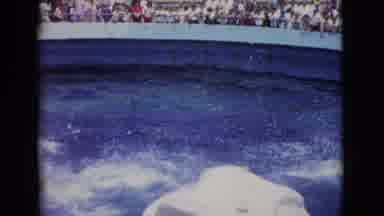 SAN DIEGO COUNTY CALIFORNIA-1968: Small Pod Of Trained Dolphins Jumping Out Of Water