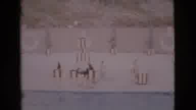 San Diego County California (1968): Seals At A Water Show