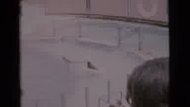 San Diego County California (1968): Seals Happily Swim And Bob Around The Water