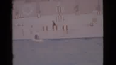 San Diego County California (1968): Well Trained Seals Doing Various Tricks During