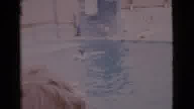 San Diego County California (1968): A Person Filming A Body Of Water With Someone