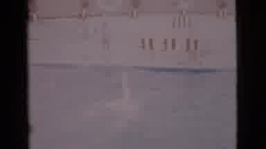San Diego County California (1968): A Dolphin Playing In The Water During The Day