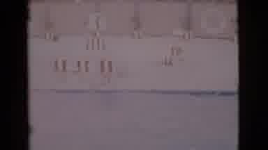 San Diego County California (1968): What A Day At The Pool With That Wind Blowing
