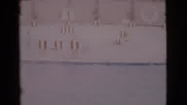 San Diego County California (1968): Video Of A Pool Of Water For A Sea Lion Show