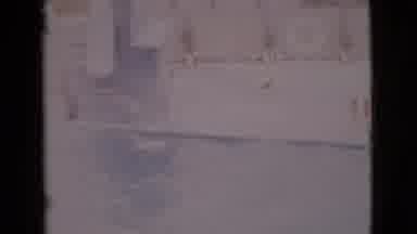 San Diego County California (1968): Person Feeds Dolphins In Water On A Bright