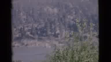 San Diego County California (1968): Empty Region Full Of Vegetation: Trees, Lawn