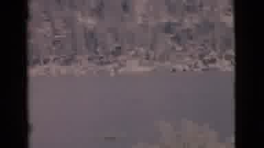 San Diego County California (1968): Lovely Natural Scenery Of The Woods And The