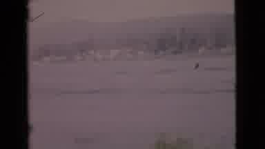 San Diego County California (1968): A Closer Look To What Goes On In The Ocean