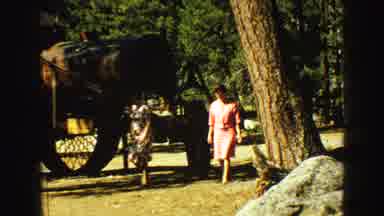 Vancouver Bc Canada (1968): Two Ladies Initially Walking In A Park While Another