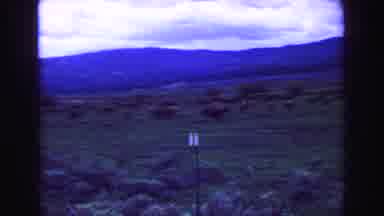 Vancouver Bc Canada (1968): Man Taking Photo Of Herd Of Buffalo,While Two People