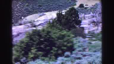 Vancouver Bc Canada (1968): Middle Aged Woman With A Bag Hiking Down A Bush