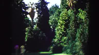 Vancouver Bc Canada (1968): People At A Park Looking At How Green And Color Full