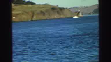 Vancouver Bc Canada (1968): Birds In Flight Over Water