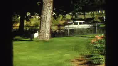 Vancouver Bc Canada (1968): Woman Watering Her Beautiful Garden With Her Dog