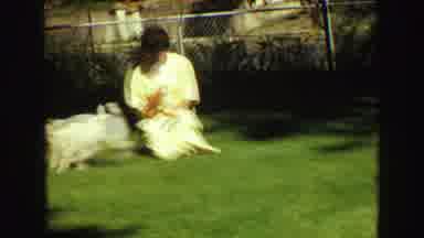 Vancouver Bc Canada (1968): Dog Playing With Woman That Is Sitting On Grass On A