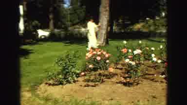 Vancouver Bc Canada (1968): Adorable Little White Pet Dog Running Around Outside
