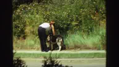 Vancouver Bc Canada (1968): Woman And Dog Standing On Sidewalk In Neighborhood And